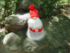 Santa Claus 8 inch