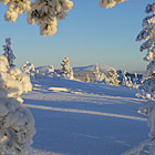 Winter in Sweden